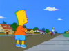 s11e8-evergreen-terrace