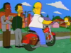 s11e8-evergreen-terrace2