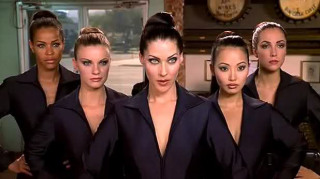 hotchicks
