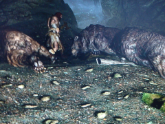 dsc07690