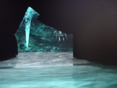 dsc07706