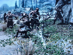 dsc08998