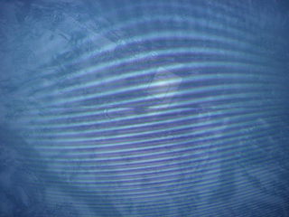 dsc09131039