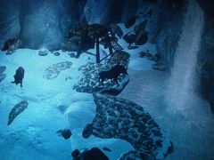 skyrim-diary-image-b060